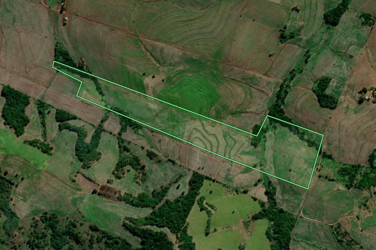 Imagem de satélite do imóvel rural em Primeiro de Maio (PR), com o contorno declarado no CAR desenhado por cima.
