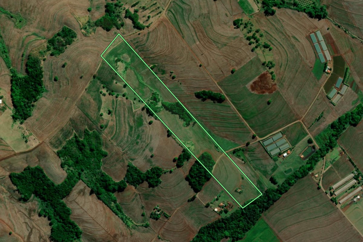 Imagem de satélite do imóvel rural em Primeiro de Maio (PR), com o contorno declarado no CAR desenhado por cima.