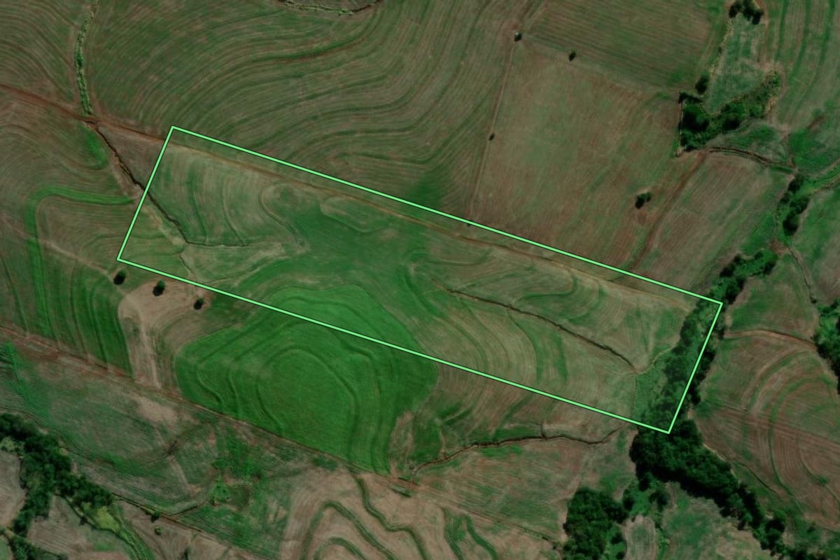 Imagem de satélite do imóvel rural em Primeiro de Maio (PR), com o contorno declarado no CAR desenhado por cima.