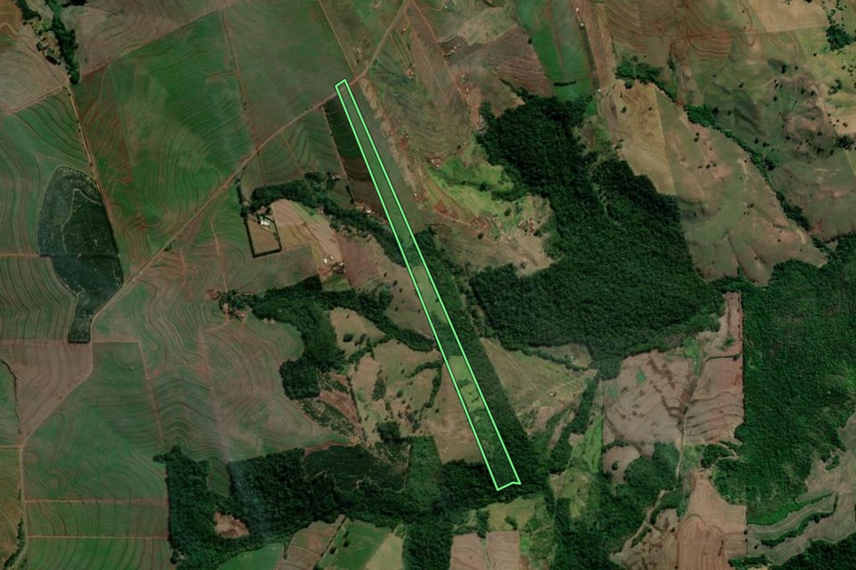 Imagem de satélite do imóvel rural em Primeiro de Maio (PR), com o contorno declarado no CAR desenhado por cima.