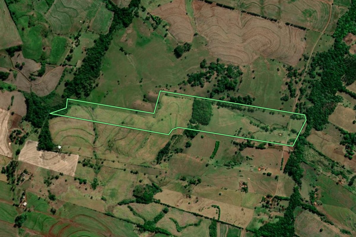 Imagem de satélite do imóvel rural em Primeiro de Maio (PR), com o contorno declarado no CAR desenhado por cima.