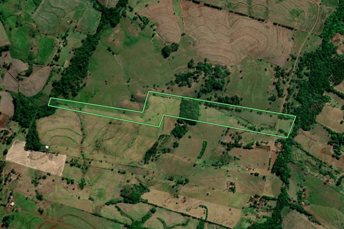 Imagem de satélite do imóvel rural em Primeiro de Maio (PR), com o contorno declarado no CAR desenhado por cima.
