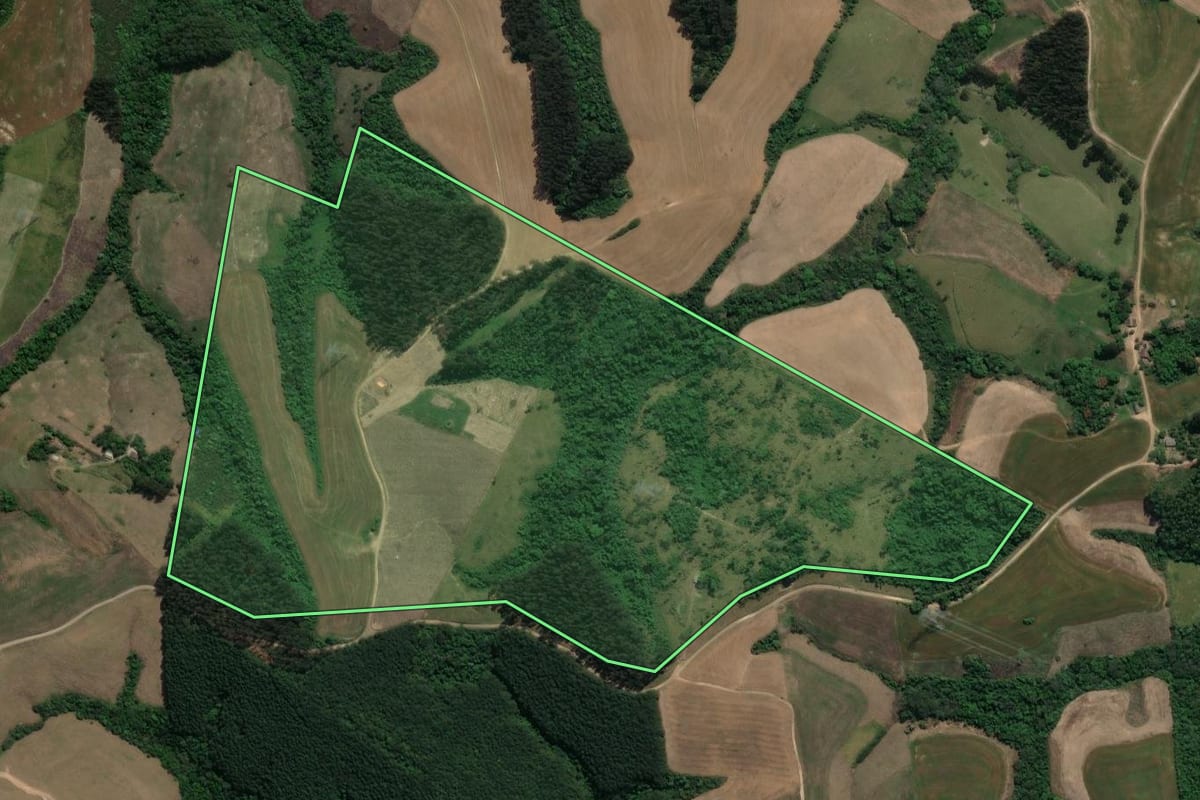 Imagem de satélite do imóvel rural em Prudentópolis (PR), com o contorno declarado no CAR desenhado por cima.