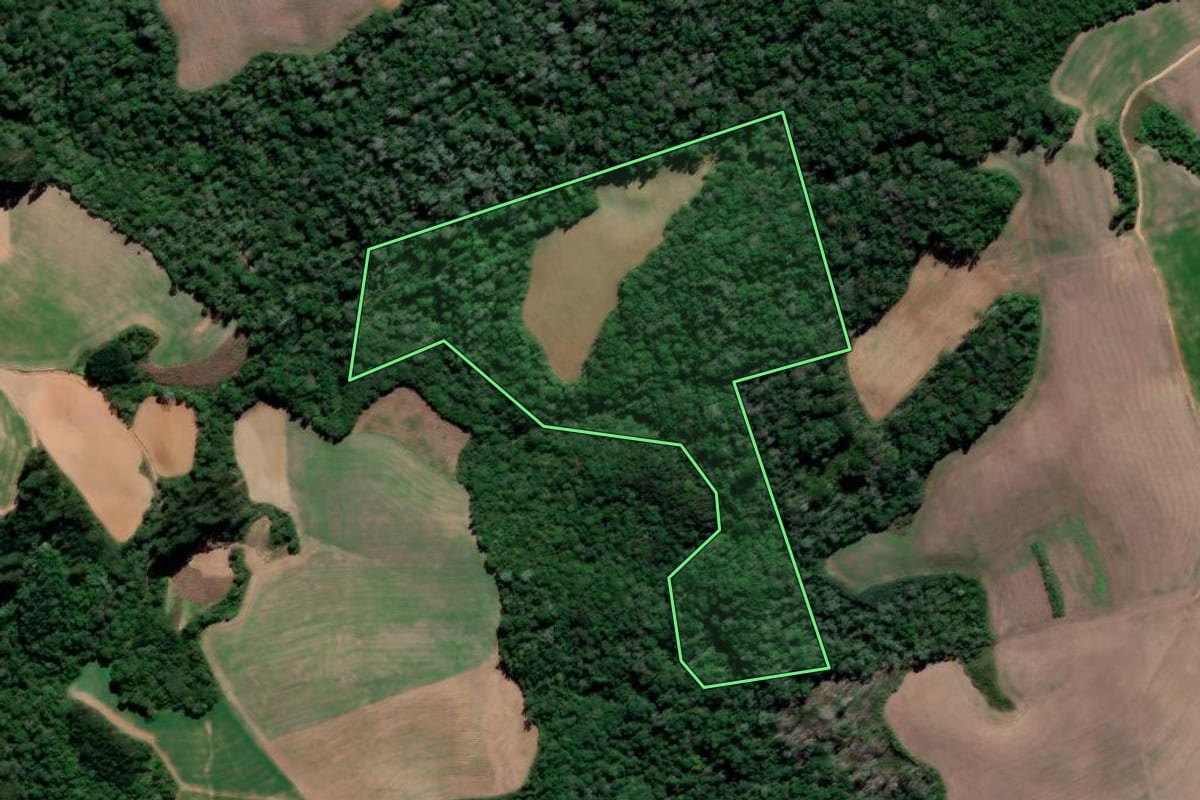 Imagem de satélite do imóvel rural em Prudentópolis (PR), com o contorno declarado no CAR desenhado por cima.