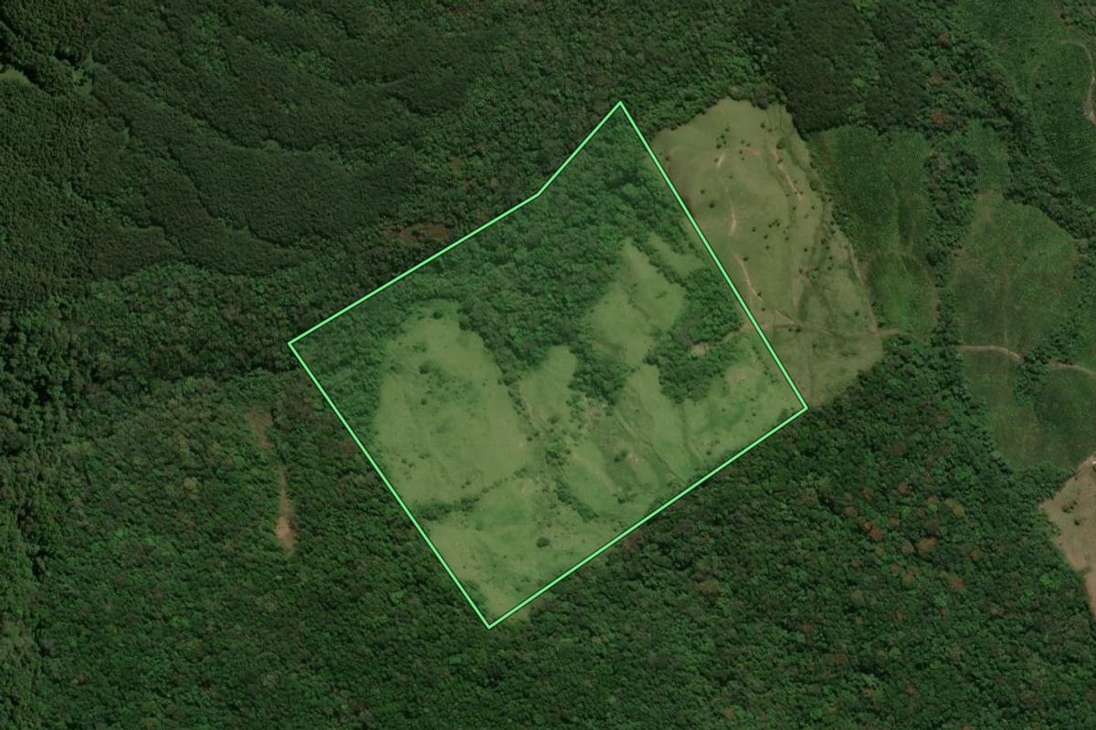 Imagem de satélite do imóvel rural em Prudentópolis (PR), com o contorno declarado no CAR desenhado por cima.