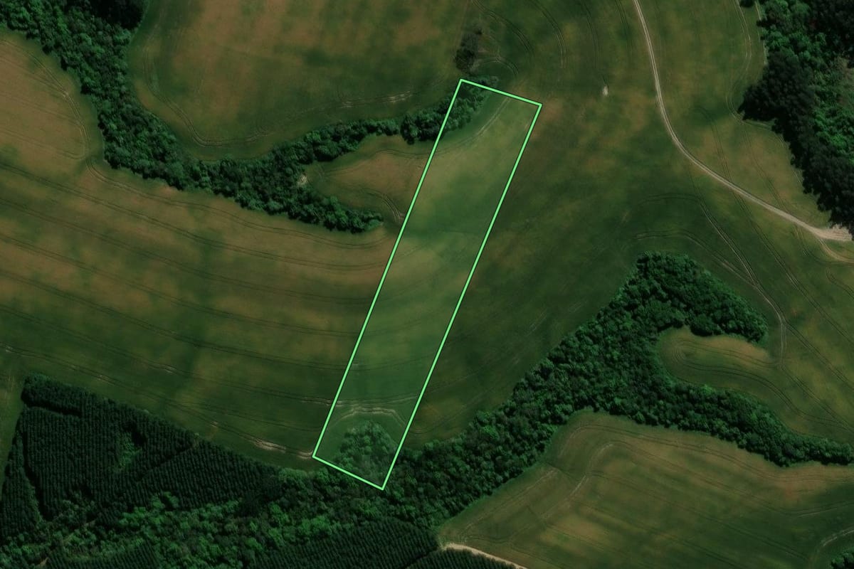 Imagem de satélite do imóvel rural em Prudentópolis (PR), com o contorno declarado no CAR desenhado por cima.