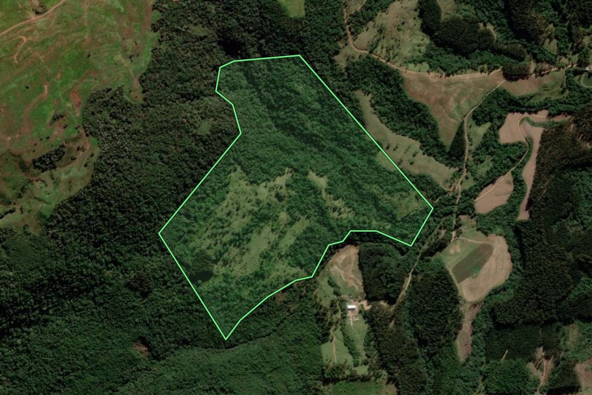 Imagem de satélite do imóvel rural em Prudentópolis (PR), com o contorno declarado no CAR desenhado por cima.