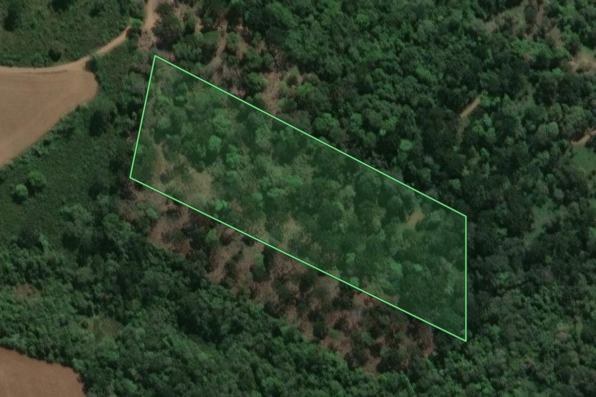 Imagem de satélite do imóvel rural em Prudentópolis (PR), com o contorno declarado no CAR desenhado por cima.