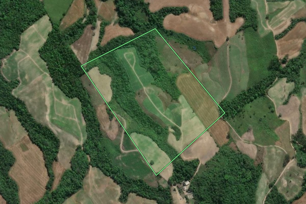 Imagem de satélite do imóvel rural em Prudentópolis (PR), com o contorno declarado no CAR desenhado por cima.