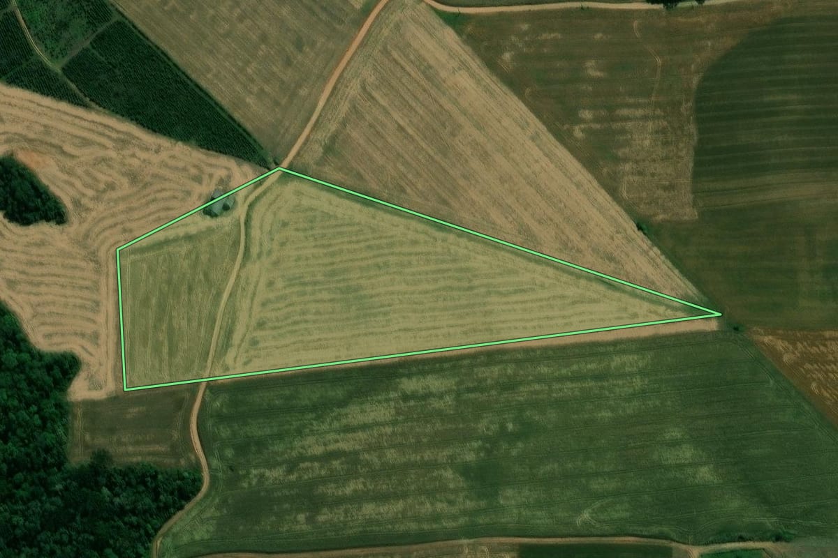 Imagem de satélite do imóvel rural em Prudentópolis (PR), com o contorno declarado no CAR desenhado por cima.