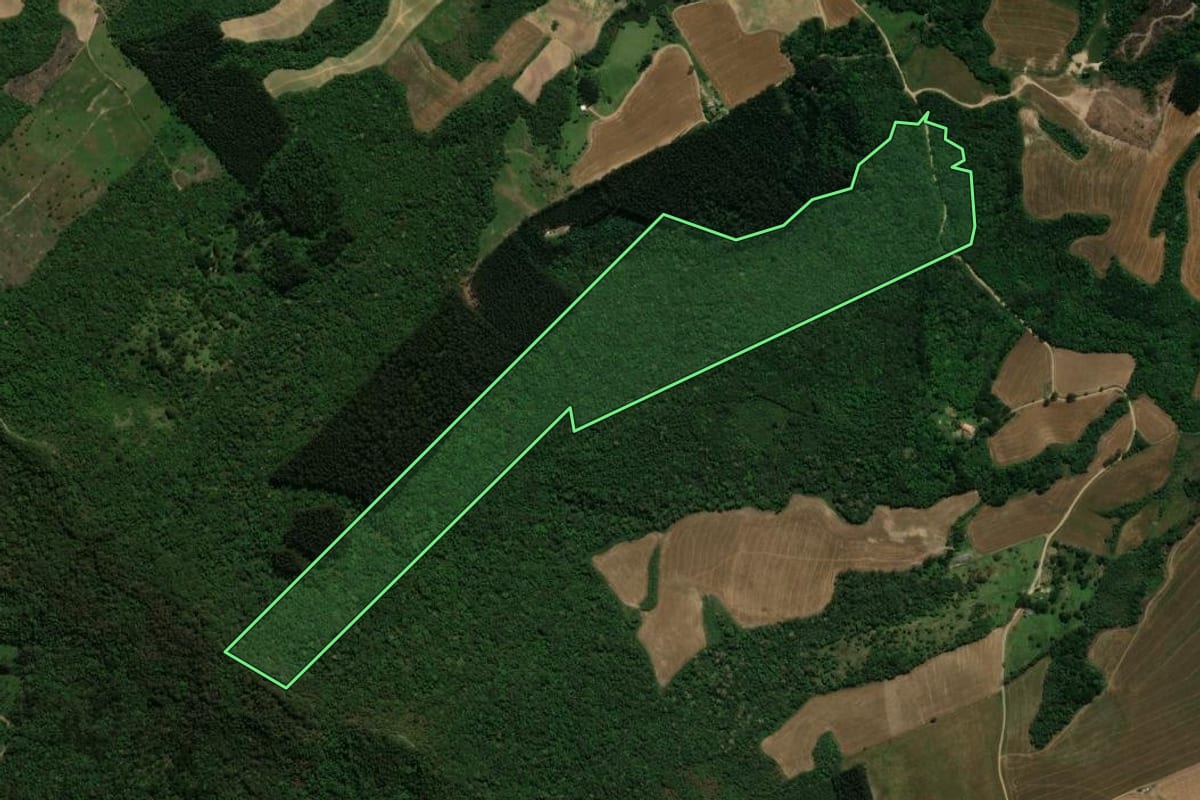 Imagem de satélite do imóvel rural em Prudentópolis (PR), com o contorno declarado no CAR desenhado por cima.