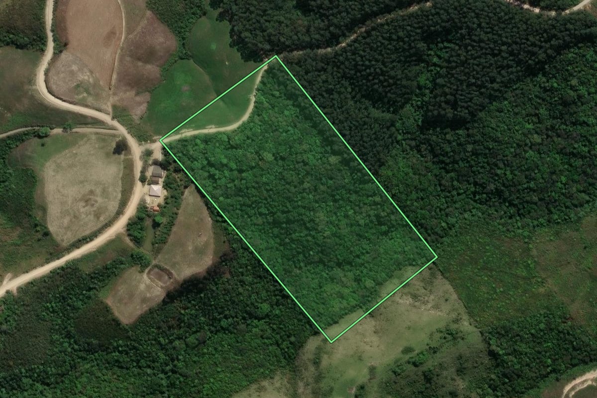 Imagem de satélite do imóvel rural em Prudentópolis (PR), com o contorno declarado no CAR desenhado por cima.