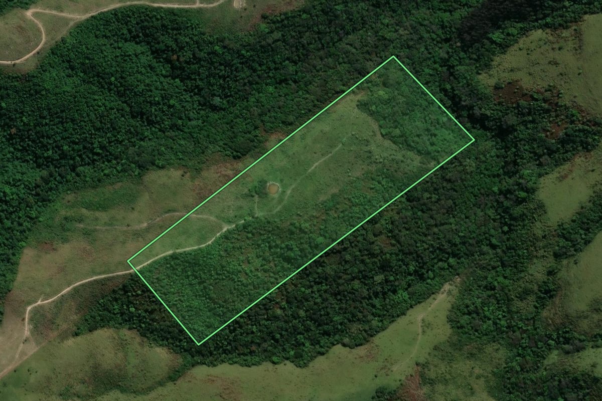 Imagem de satélite do imóvel rural em Prudentópolis (PR), com o contorno declarado no CAR desenhado por cima.
