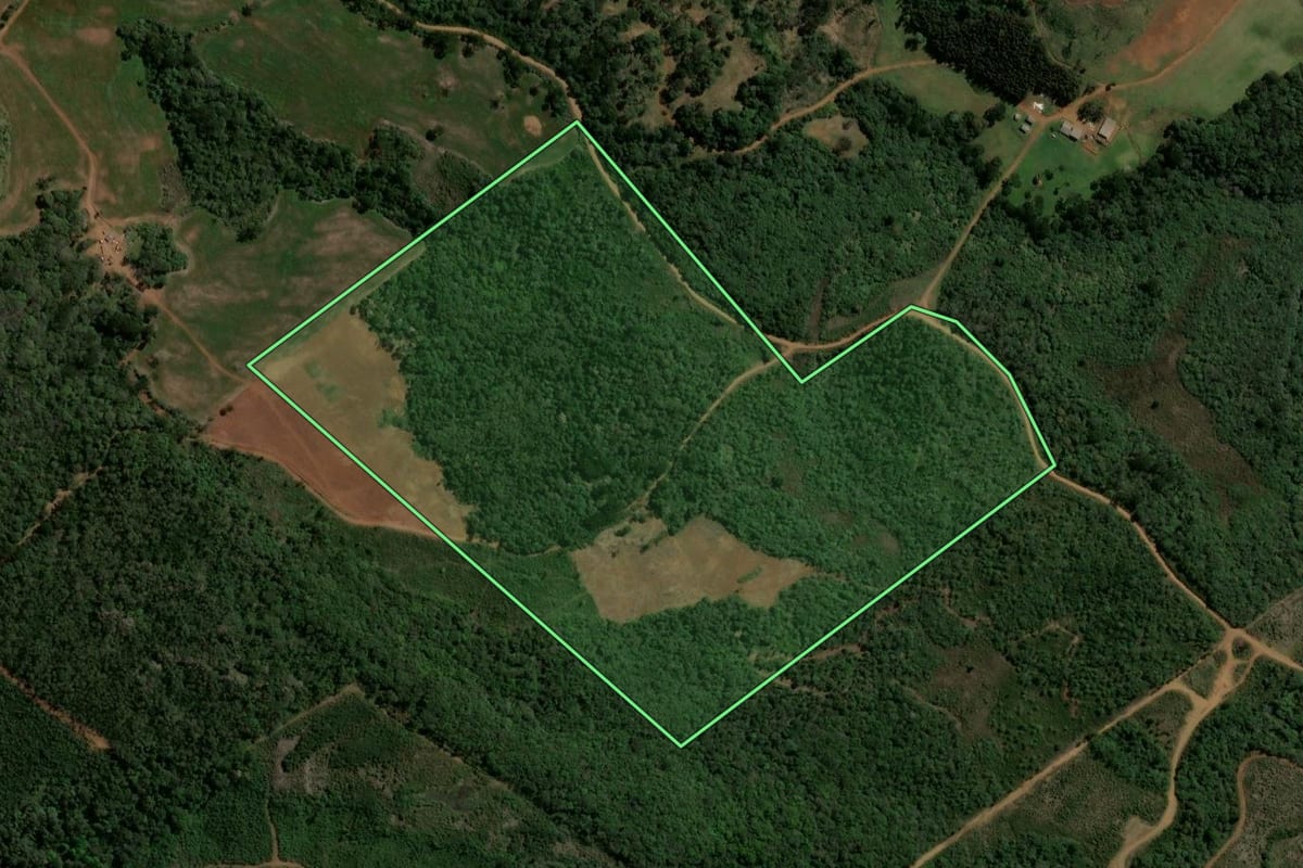 Imagem de satélite do imóvel rural em Prudentópolis (PR), com o contorno declarado no CAR desenhado por cima.