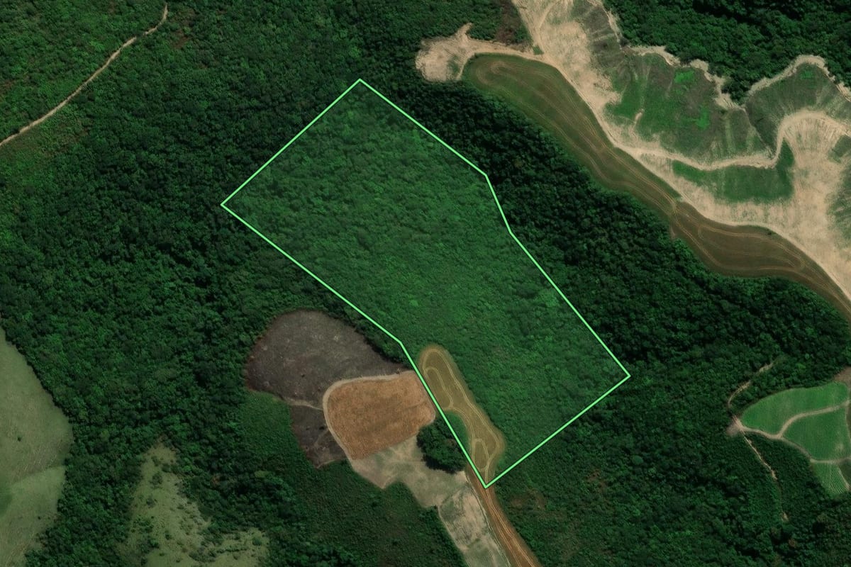 Imagem de satélite do imóvel rural em Prudentópolis (PR), com o contorno declarado no CAR desenhado por cima.