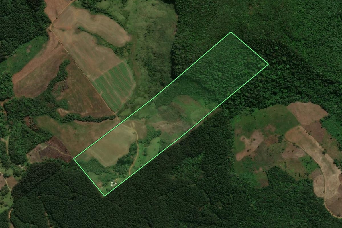 Imagem de satélite do imóvel rural em Prudentópolis (PR), com o contorno declarado no CAR desenhado por cima.