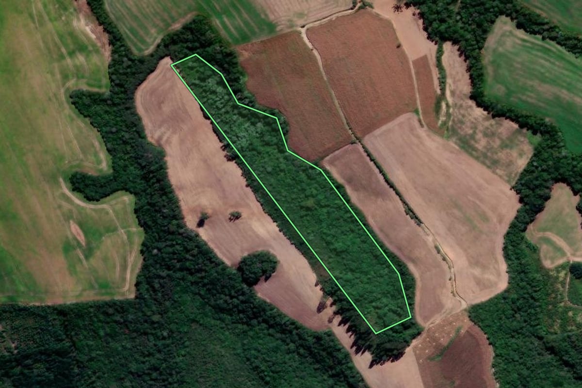 Imagem de satélite do imóvel rural em Prudentópolis (PR), com o contorno declarado no CAR desenhado por cima.
