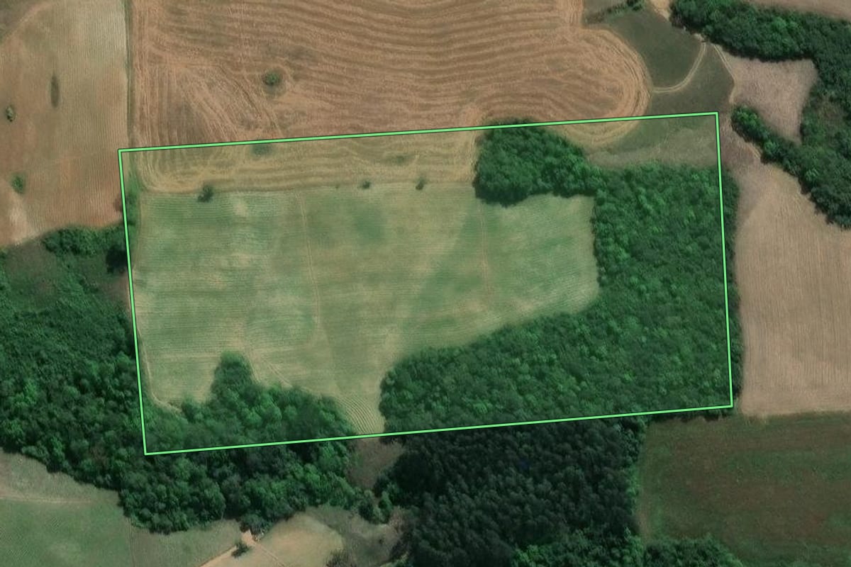 Imagem de satélite do imóvel rural em Prudentópolis (PR), com o contorno declarado no CAR desenhado por cima.