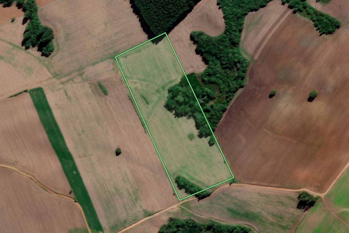 Imagem de satélite do imóvel rural em Prudentópolis (PR), com o contorno declarado no CAR desenhado por cima.