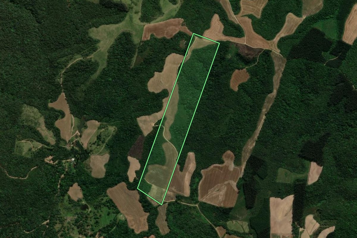 Imagem de satélite do imóvel rural em Prudentópolis (PR), com o contorno declarado no CAR desenhado por cima.
