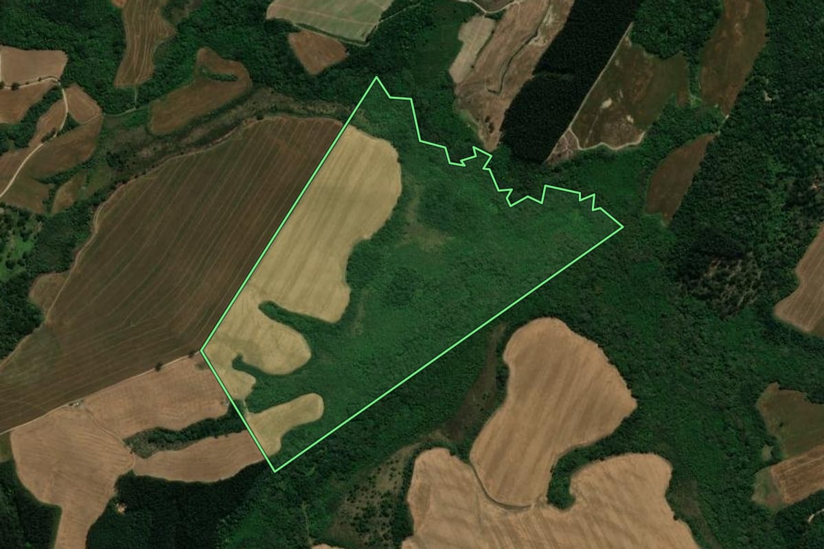 Imagem de satélite do imóvel rural em Prudentópolis (PR), com o contorno declarado no CAR desenhado por cima.