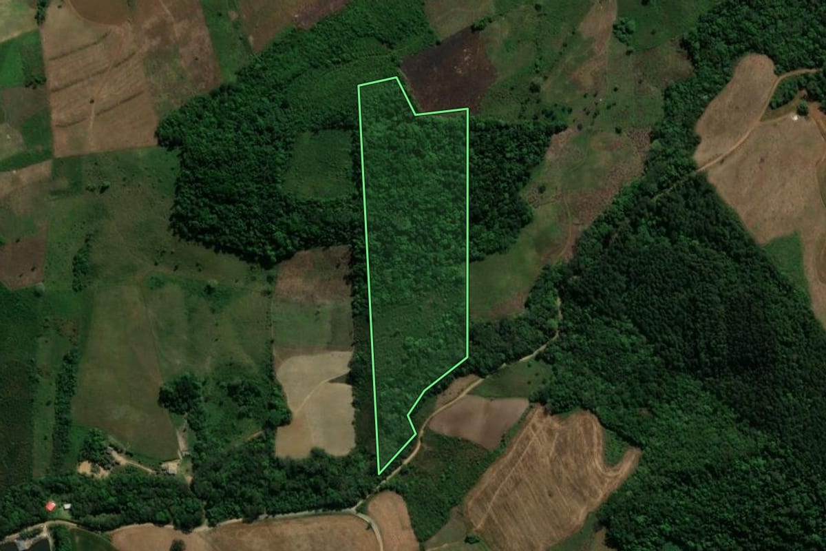 Imagem de satélite do imóvel rural em Prudentópolis (PR), com o contorno declarado no CAR desenhado por cima.