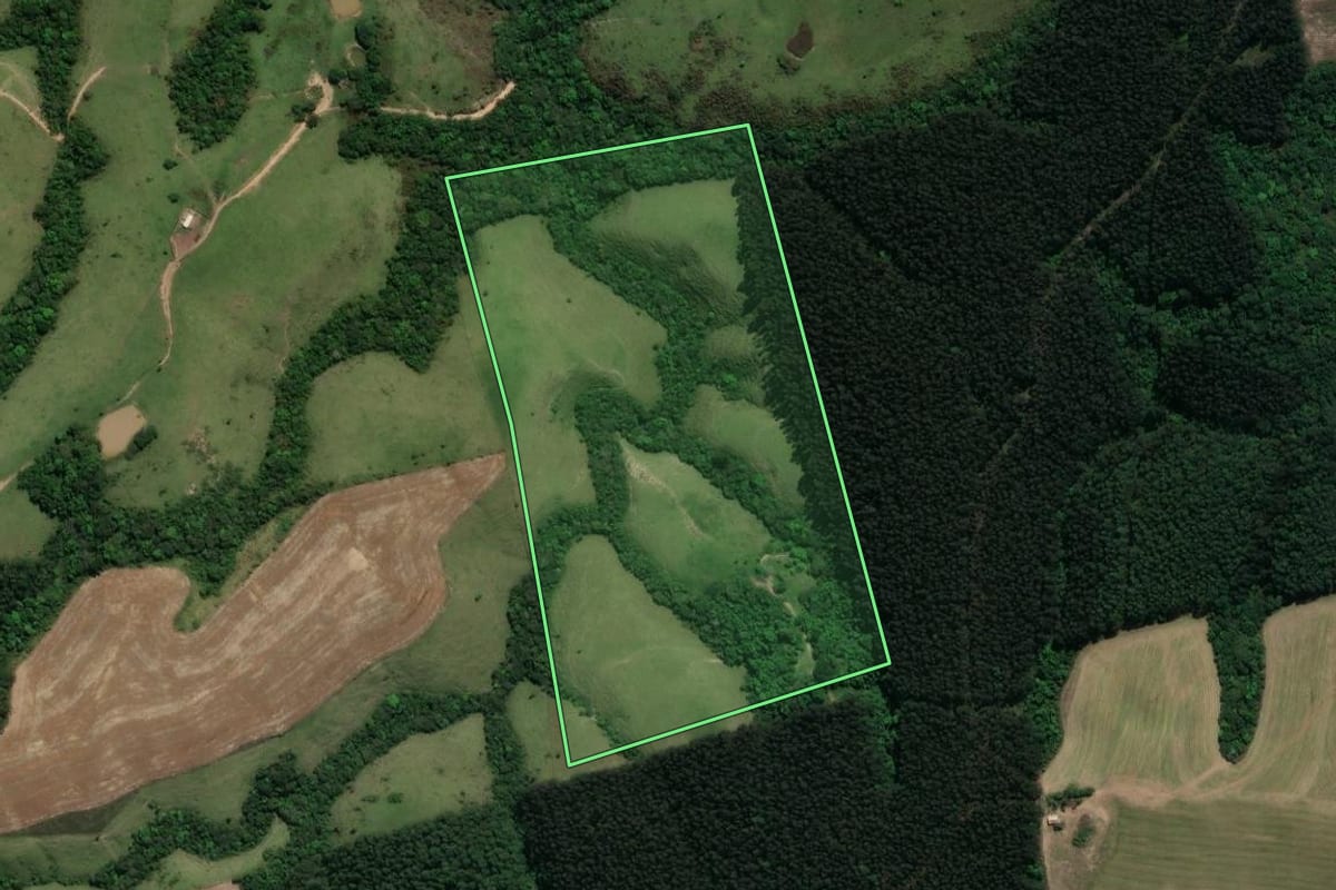 Imagem de satélite do imóvel rural em Prudentópolis (PR), com o contorno declarado no CAR desenhado por cima.