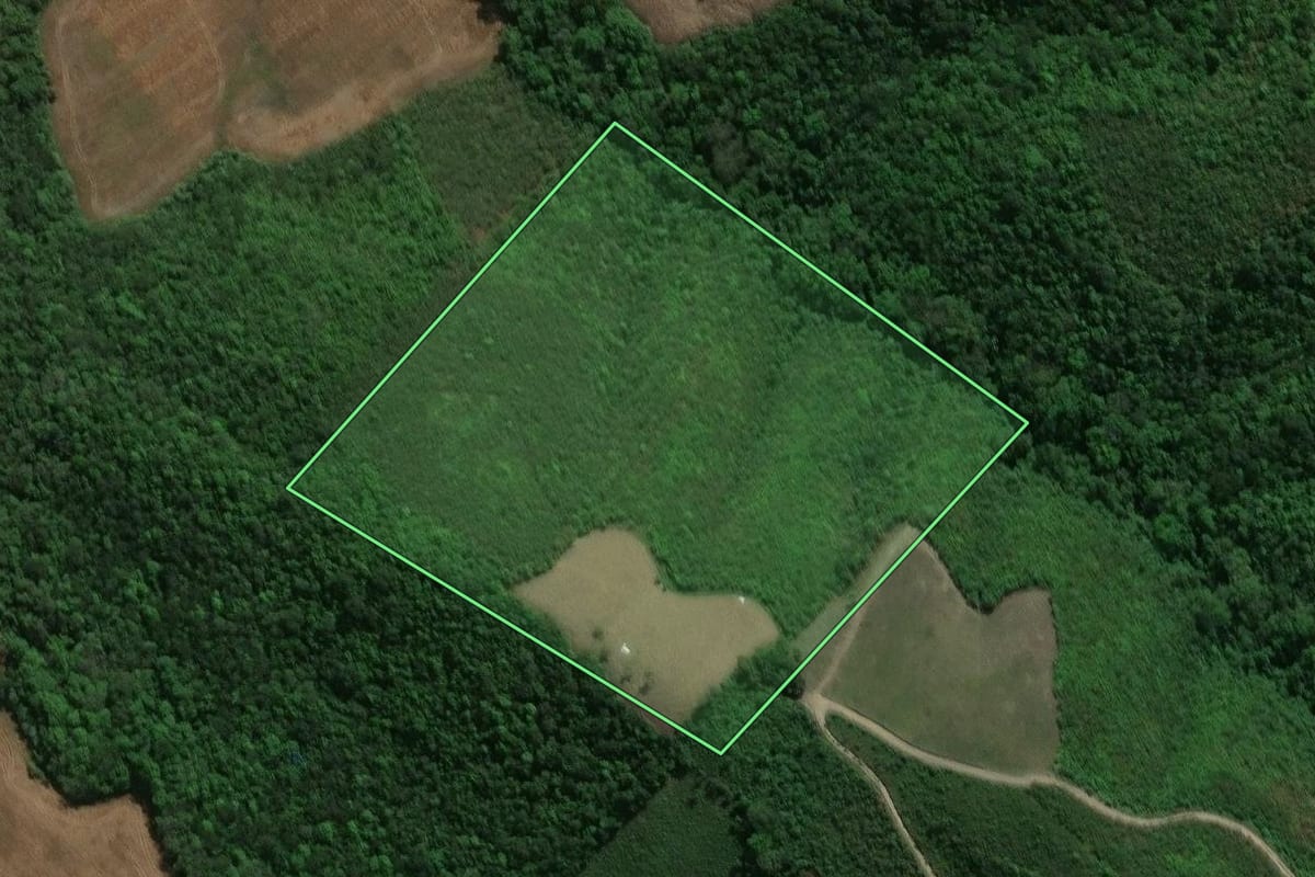 Imagem de satélite do imóvel rural em Prudentópolis (PR), com o contorno declarado no CAR desenhado por cima.