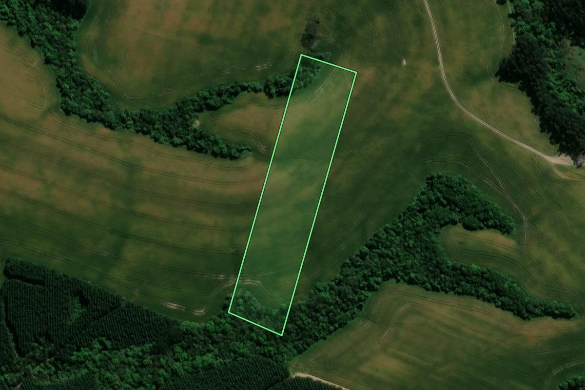 Imagem de satélite do imóvel rural em Prudentópolis (PR), com o contorno declarado no CAR desenhado por cima.