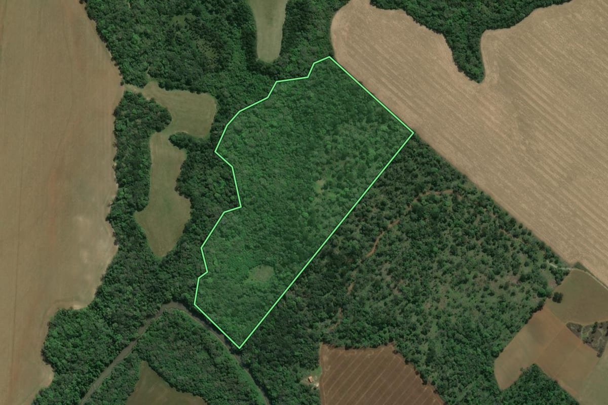 Imagem de satélite do imóvel rural em Prudentópolis (PR), com o contorno declarado no CAR desenhado por cima.