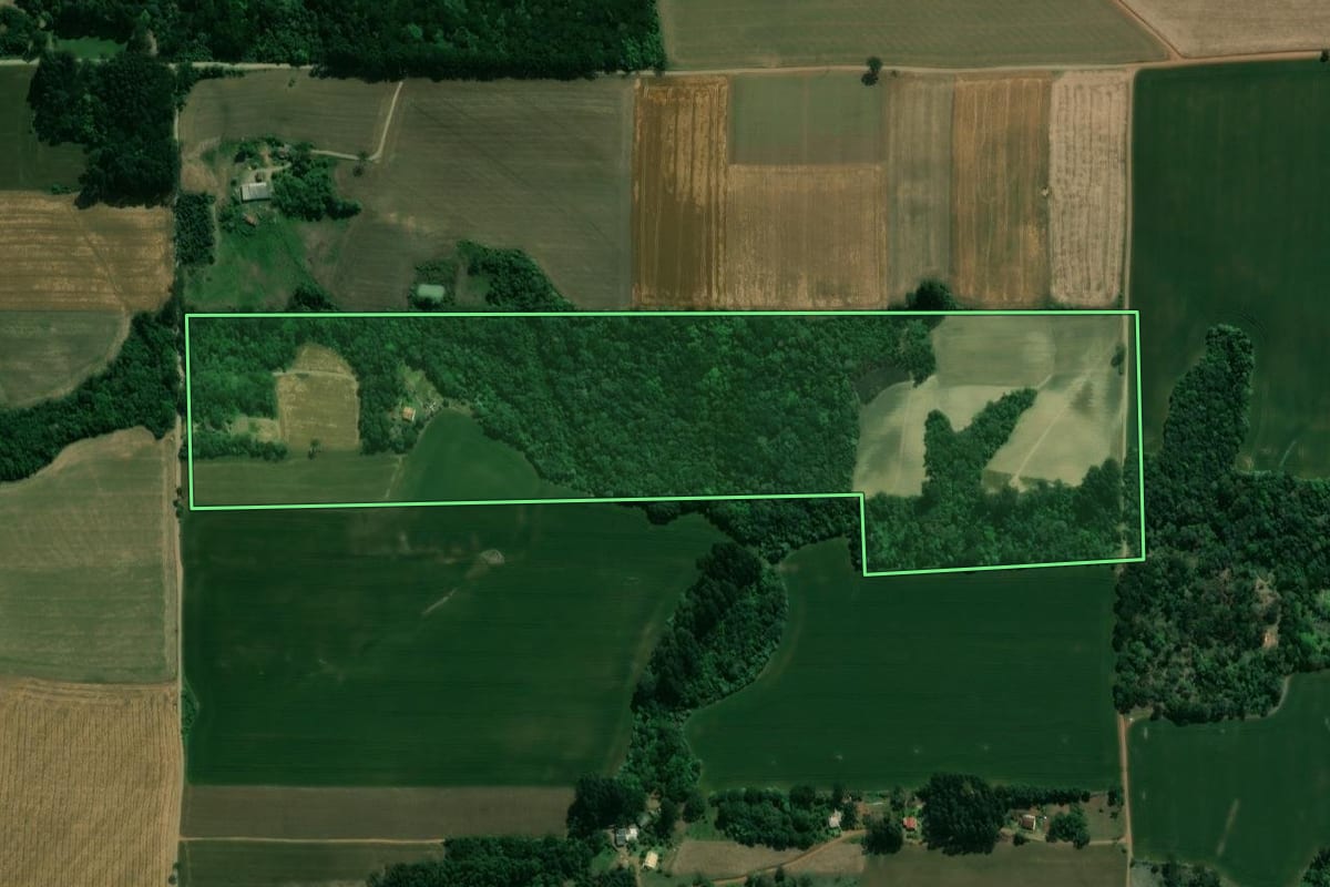 Imagem de satélite do imóvel rural em Prudentópolis (PR), com o contorno declarado no CAR desenhado por cima.