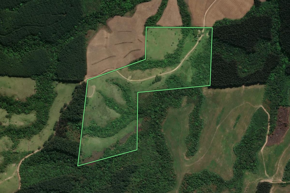 Imagem de satélite do imóvel rural em Prudentópolis (PR), com o contorno declarado no CAR desenhado por cima.