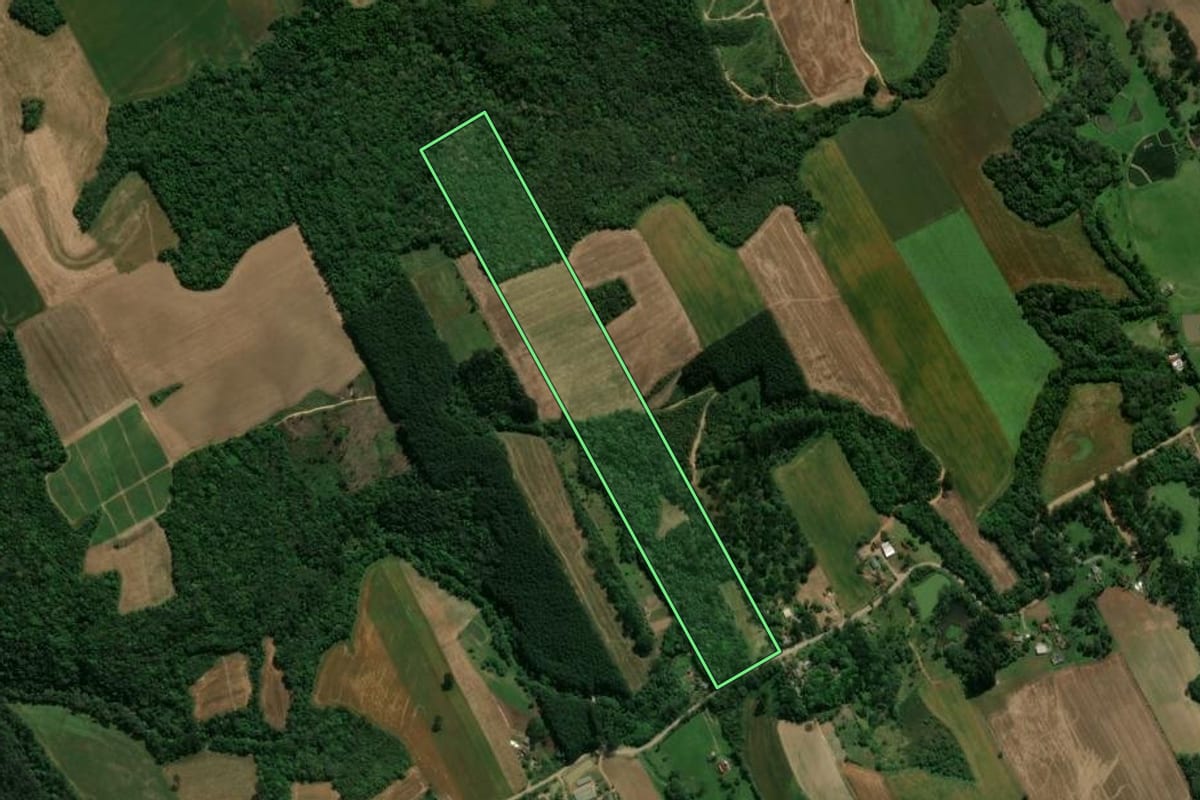 Imagem de satélite do imóvel rural em Prudentópolis (PR), com o contorno declarado no CAR desenhado por cima.