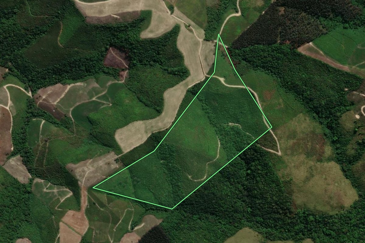 Imagem de satélite do imóvel rural em Prudentópolis (PR), com o contorno declarado no CAR desenhado por cima.