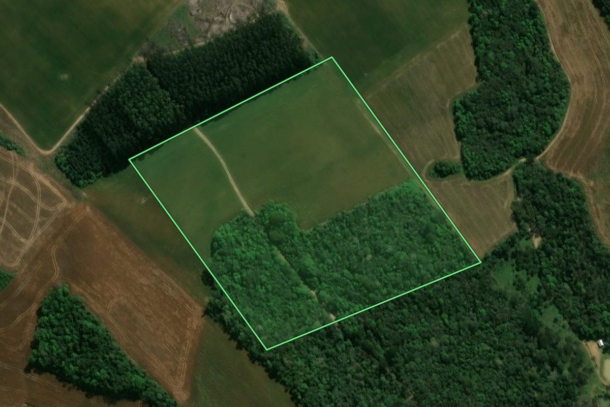 Imagem de satélite do imóvel rural em Prudentópolis (PR), com o contorno declarado no CAR desenhado por cima.