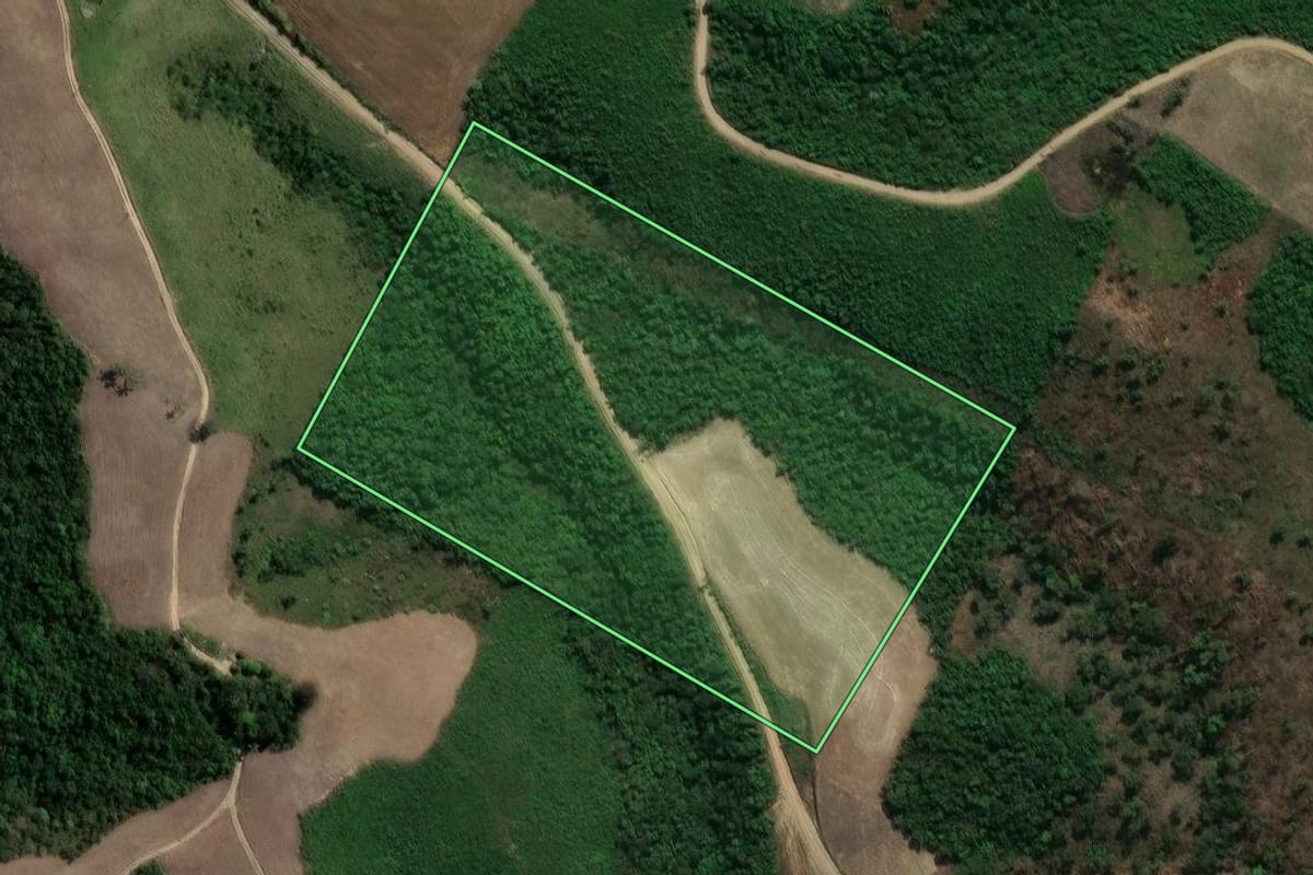 Imagem de satélite do imóvel rural em Prudentópolis (PR), com o contorno declarado no CAR desenhado por cima.