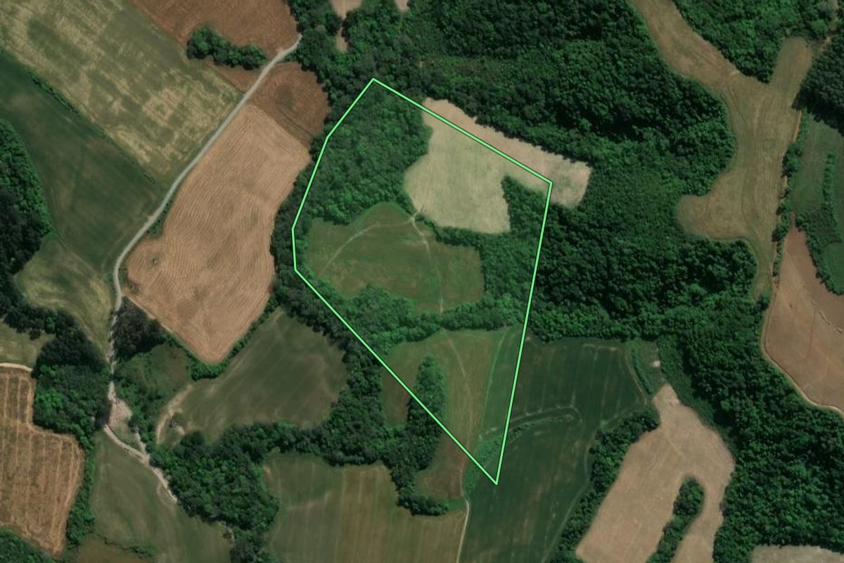 Imagem de satélite do imóvel rural em Prudentópolis (PR), com o contorno declarado no CAR desenhado por cima.