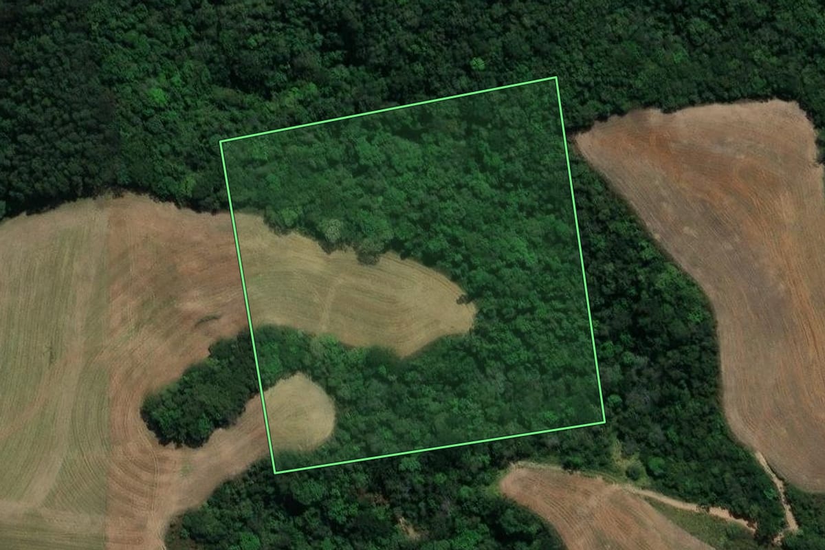 Imagem de satélite do imóvel rural em Prudentópolis (PR), com o contorno declarado no CAR desenhado por cima.
