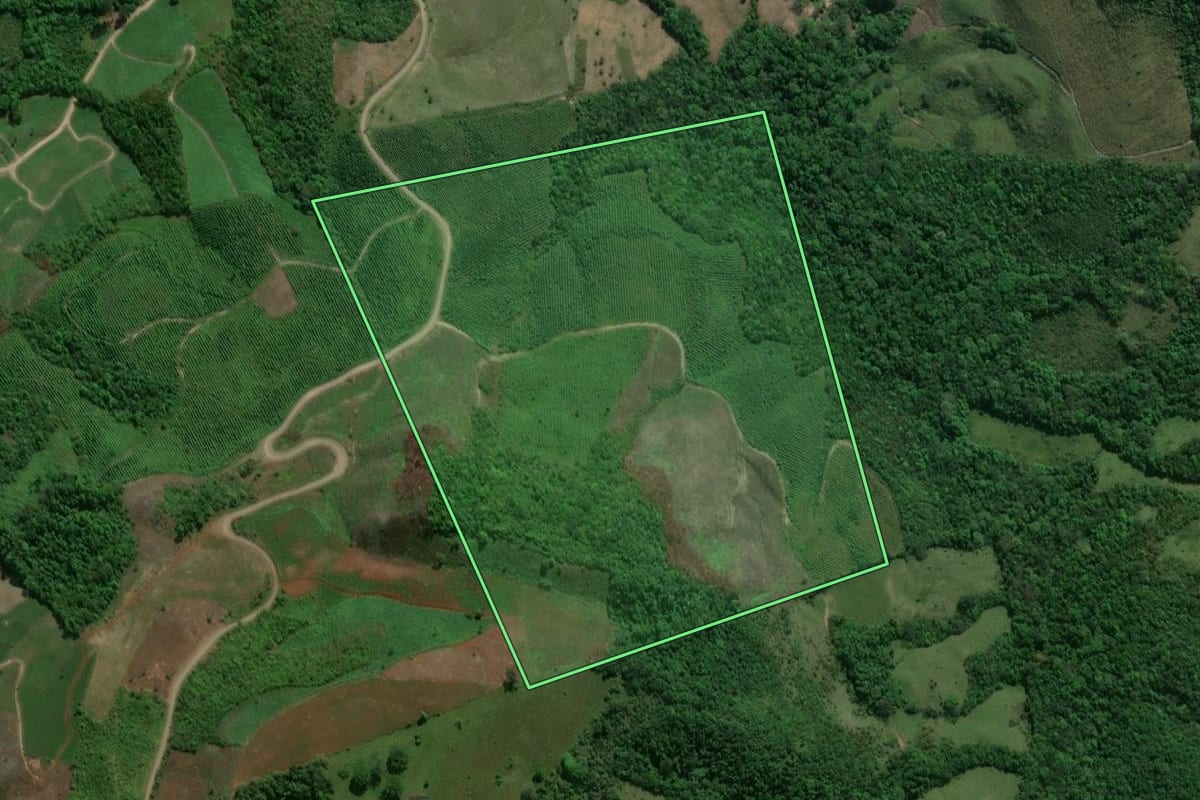 Imagem de satélite do imóvel rural em Prudentópolis (PR), com o contorno declarado no CAR desenhado por cima.