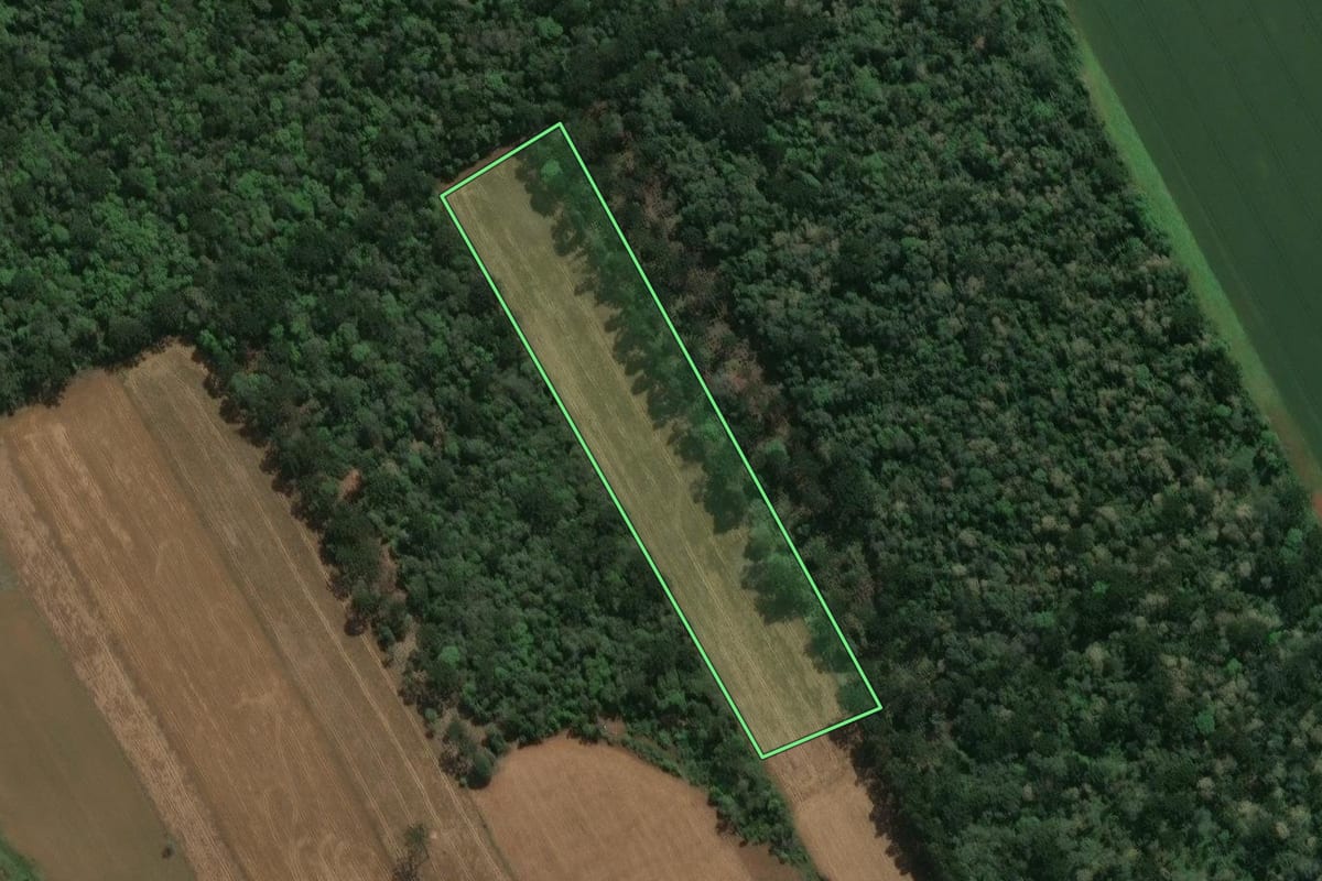 Imagem de satélite do imóvel rural em Prudentópolis (PR), com o contorno declarado no CAR desenhado por cima.
