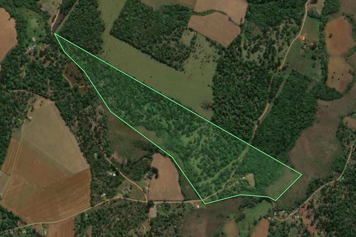 Imagem de satélite do imóvel rural em Prudentópolis (PR), com o contorno declarado no CAR desenhado por cima.