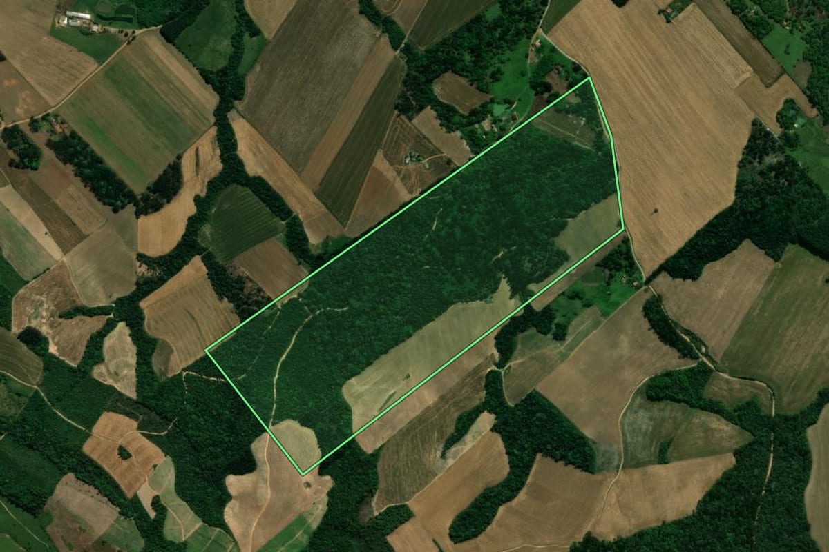 Imagem de satélite do imóvel rural em Prudentópolis (PR), com o contorno declarado no CAR desenhado por cima.