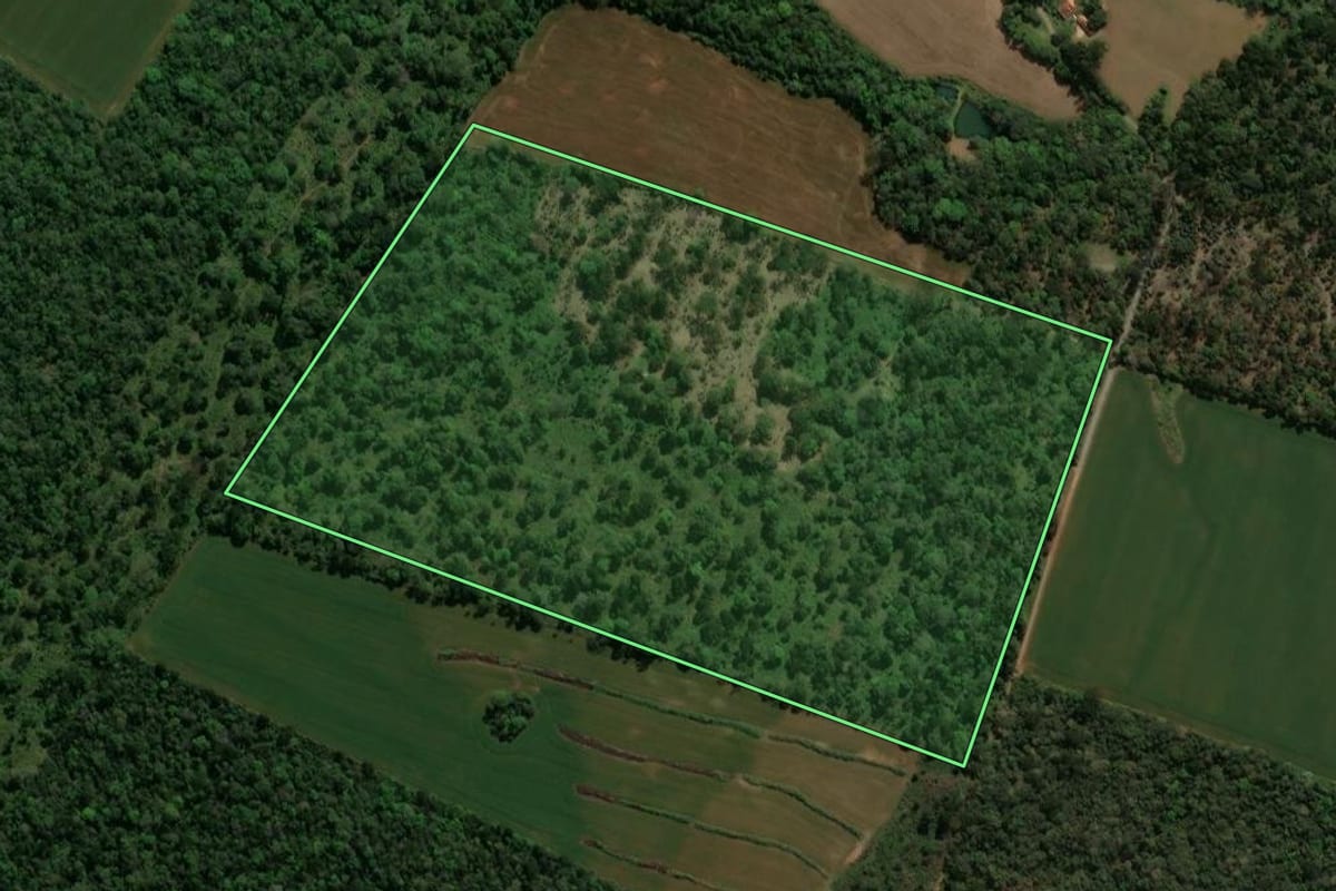 Imagem de satélite do imóvel rural em Prudentópolis (PR), com o contorno declarado no CAR desenhado por cima.