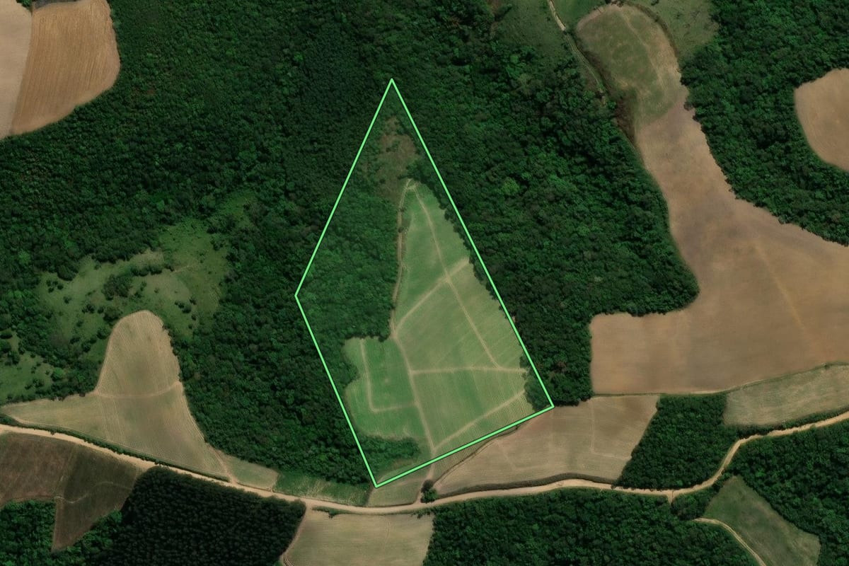 Imagem de satélite do imóvel rural em Prudentópolis (PR), com o contorno declarado no CAR desenhado por cima.