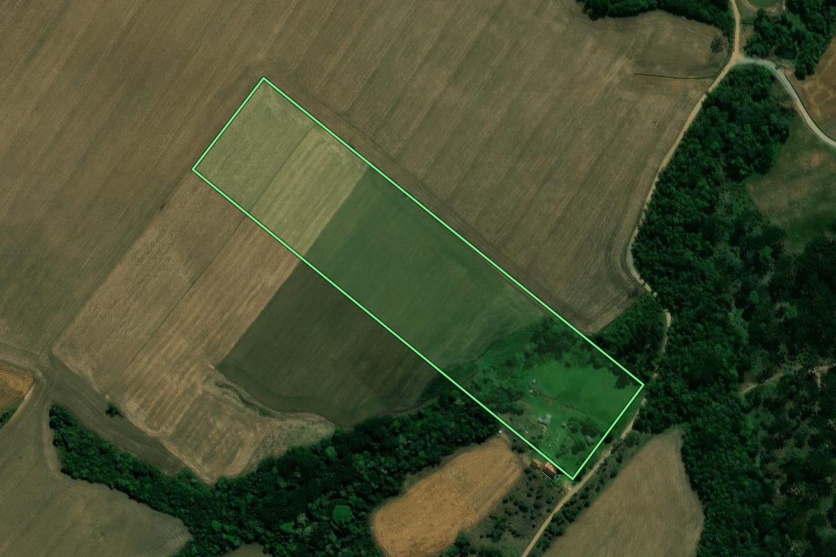Imagem de satélite do imóvel rural em Prudentópolis (PR), com o contorno declarado no CAR desenhado por cima.