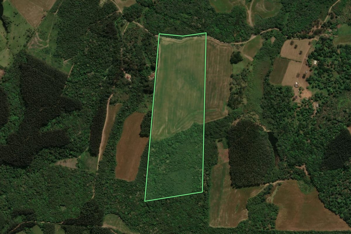 Imagem de satélite do imóvel rural em Prudentópolis (PR), com o contorno declarado no CAR desenhado por cima.
