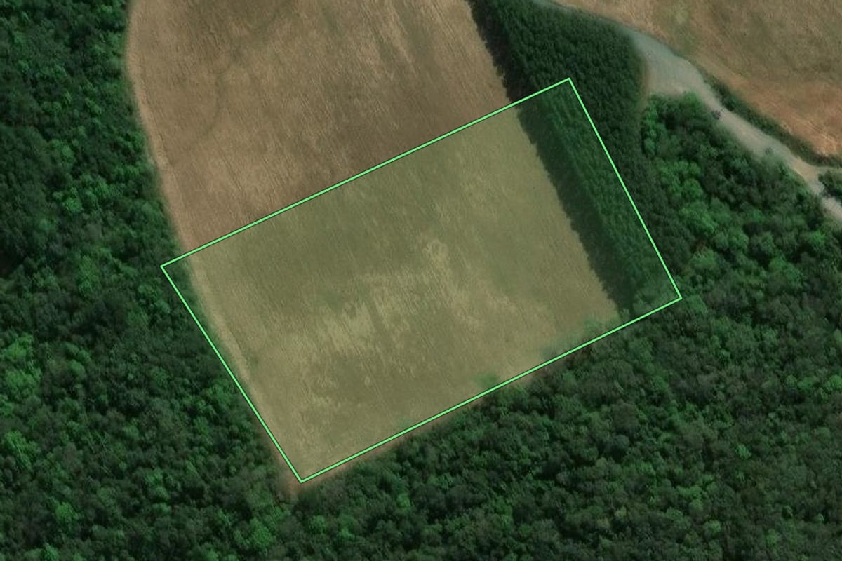 Imagem de satélite do imóvel rural em Prudentópolis (PR), com o contorno declarado no CAR desenhado por cima.