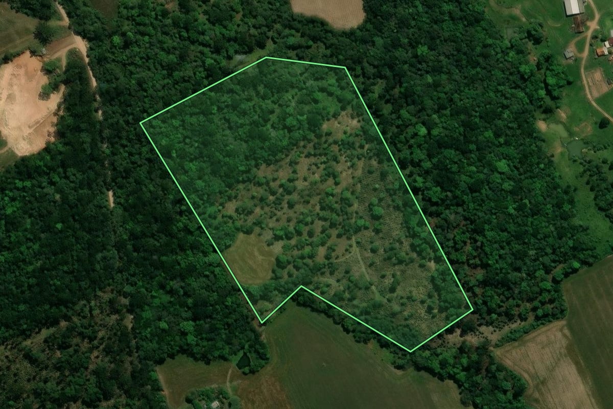 Imagem de satélite do imóvel rural em Prudentópolis (PR), com o contorno declarado no CAR desenhado por cima.