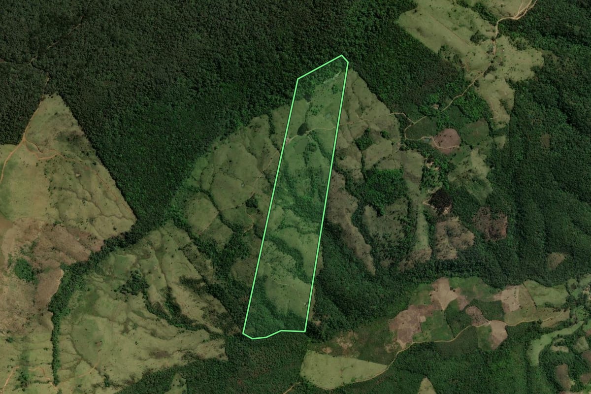 Imagem de satélite do imóvel rural em Prudentópolis (PR), com o contorno declarado no CAR desenhado por cima.