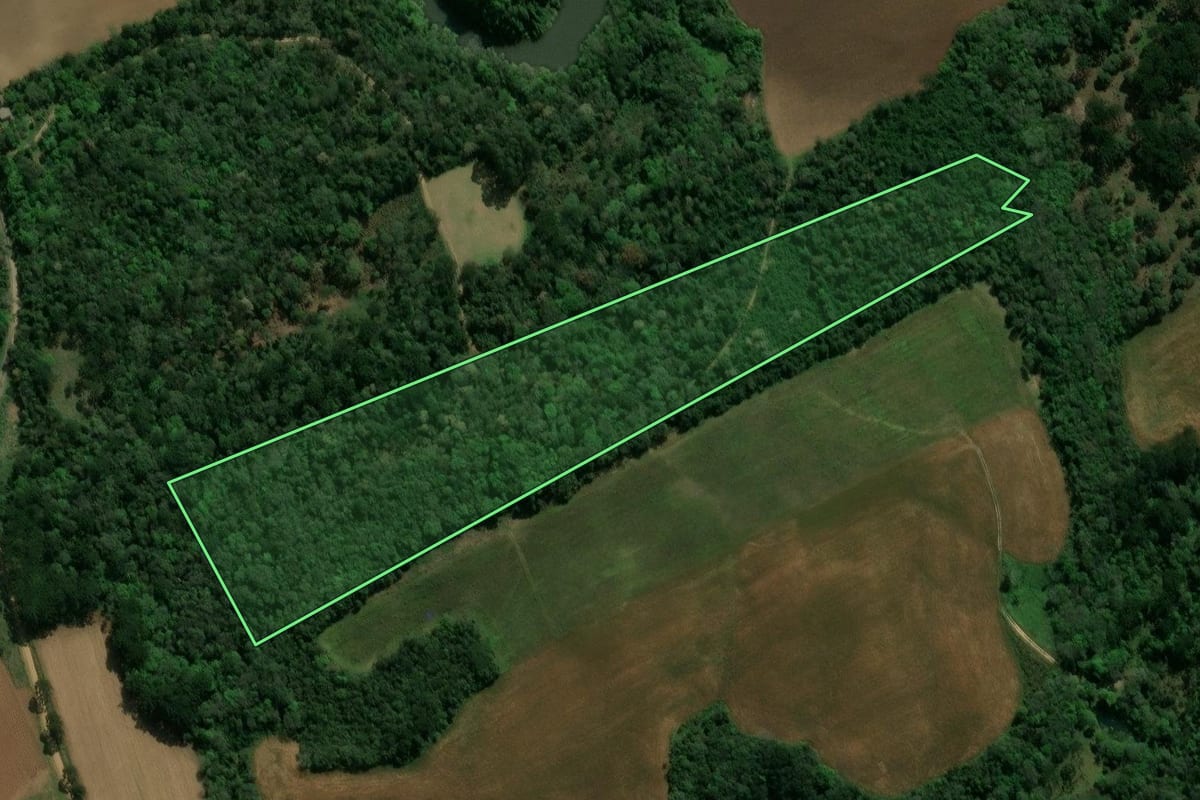 Imagem de satélite do imóvel rural em Prudentópolis (PR), com o contorno declarado no CAR desenhado por cima.